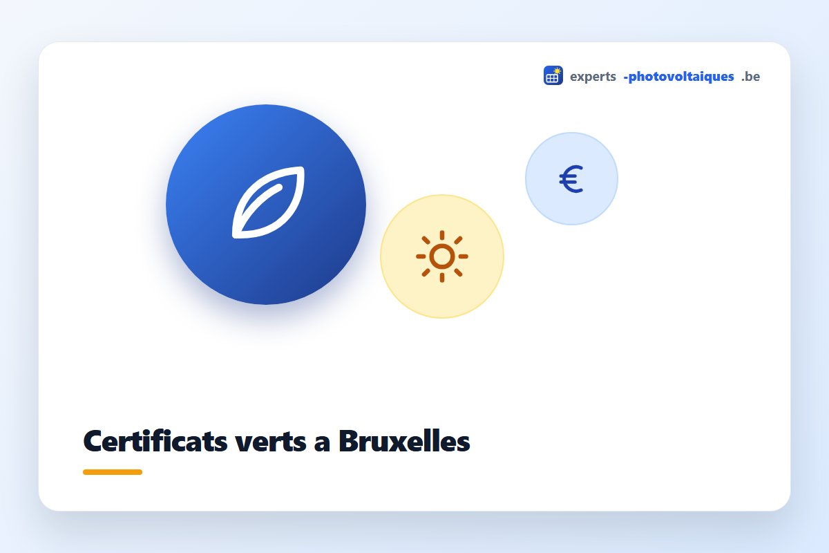 Certificats verts à Bruxelles : production solaire, certificats Brugel, revenu annuel