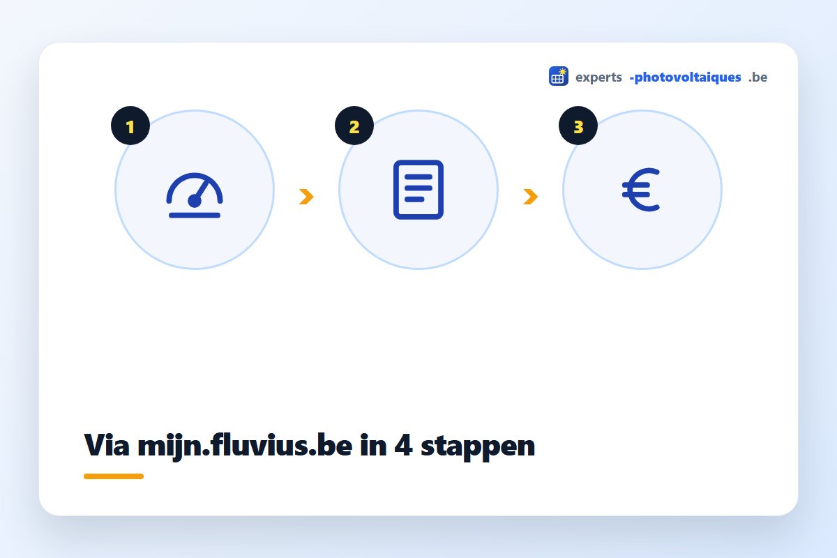 Groenestroomcertificaten: meterstand doorgeven via het Fluvius-portaal in 4 stappen