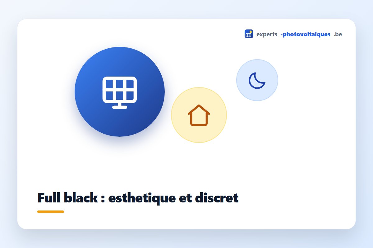 Panneaux solaires full black entièrement noirs sur une toiture en tuiles